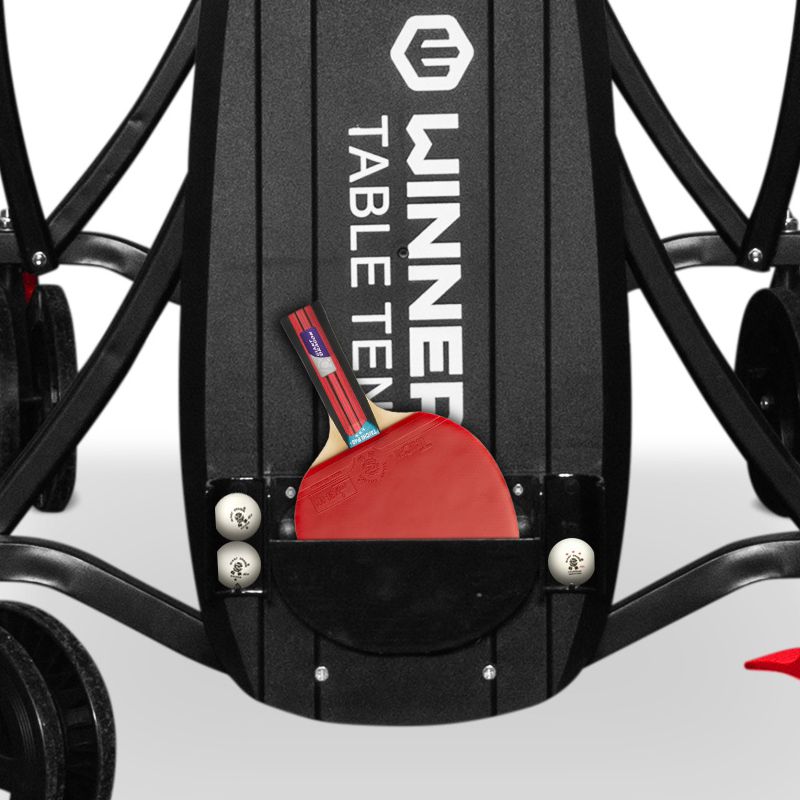 ��������� ���� ��� ��������� Winner S-250 Indoor